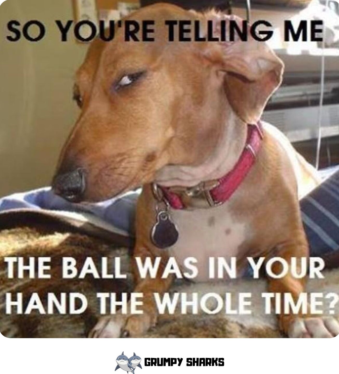 Dog Side Eye Meme