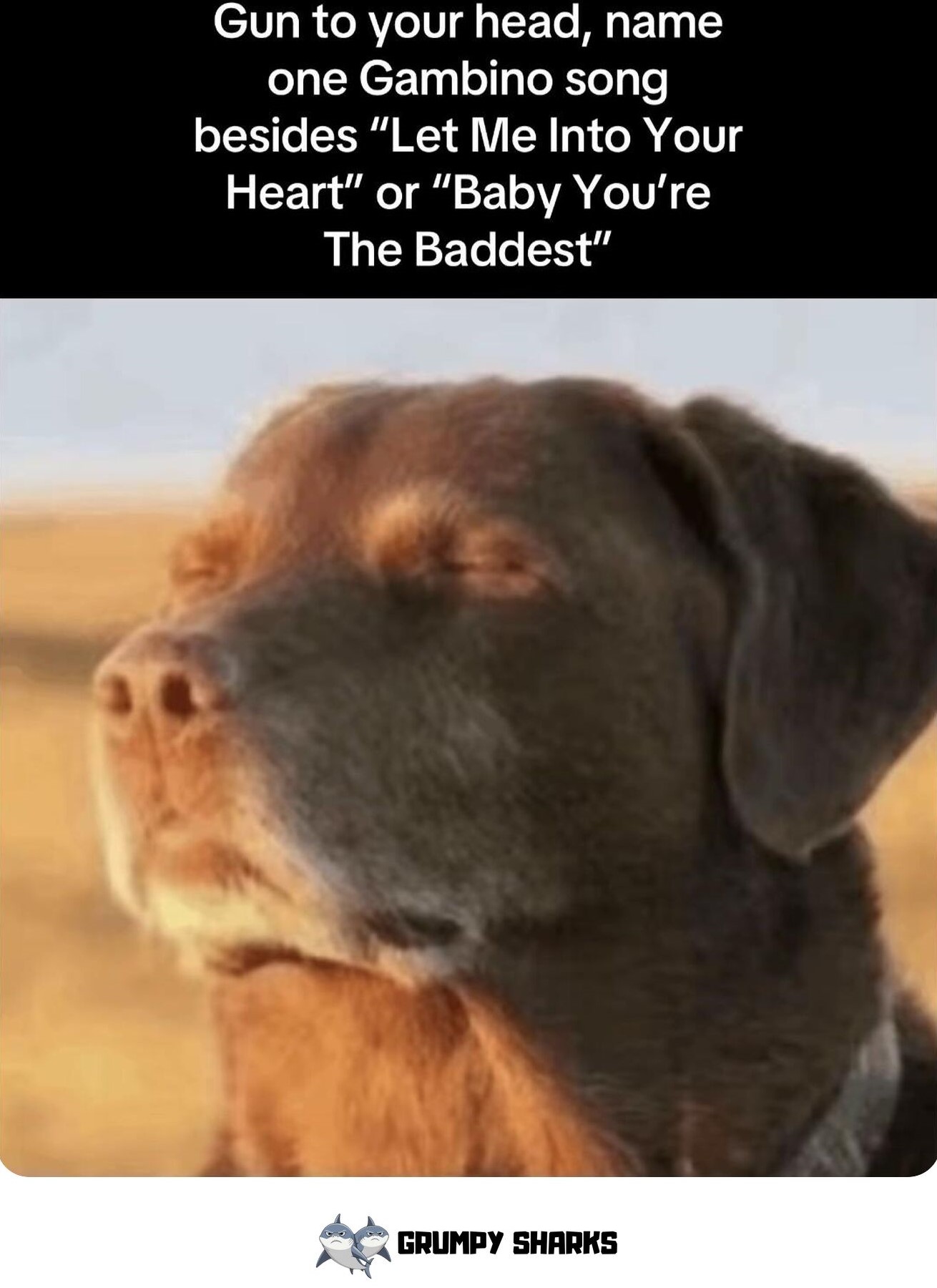 Cooked Dog Meme
