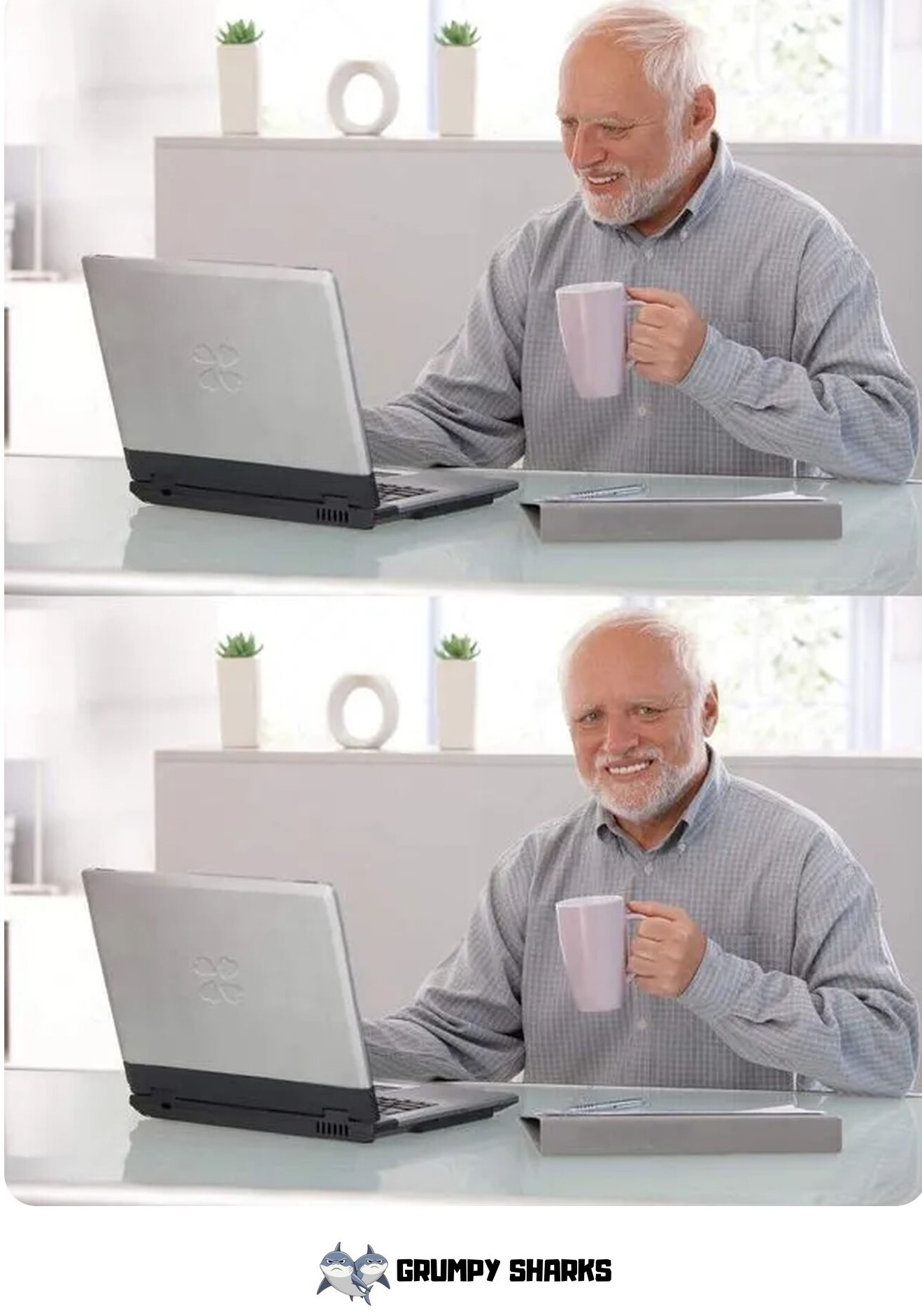 Old Man Meme