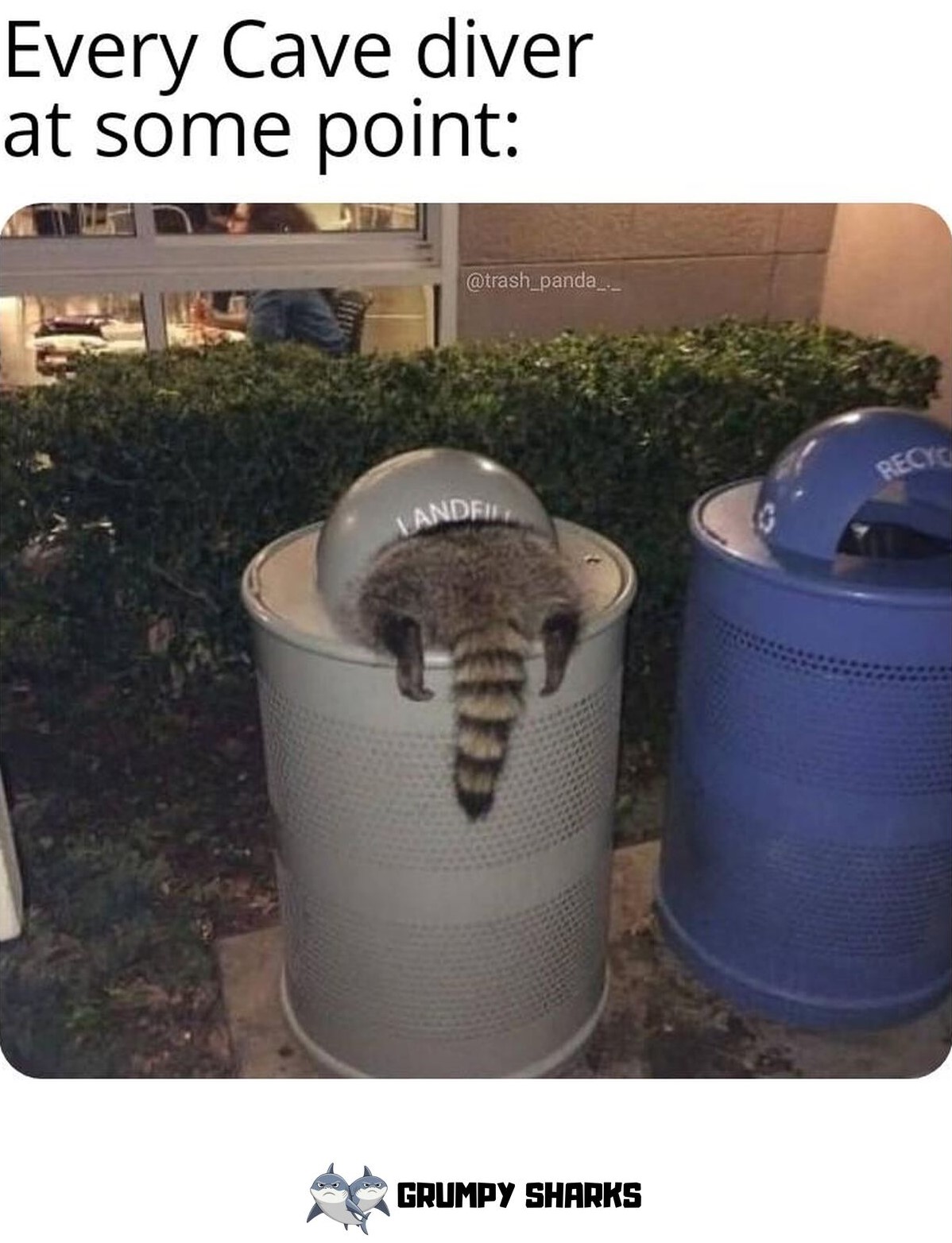 Cave Diver Meme