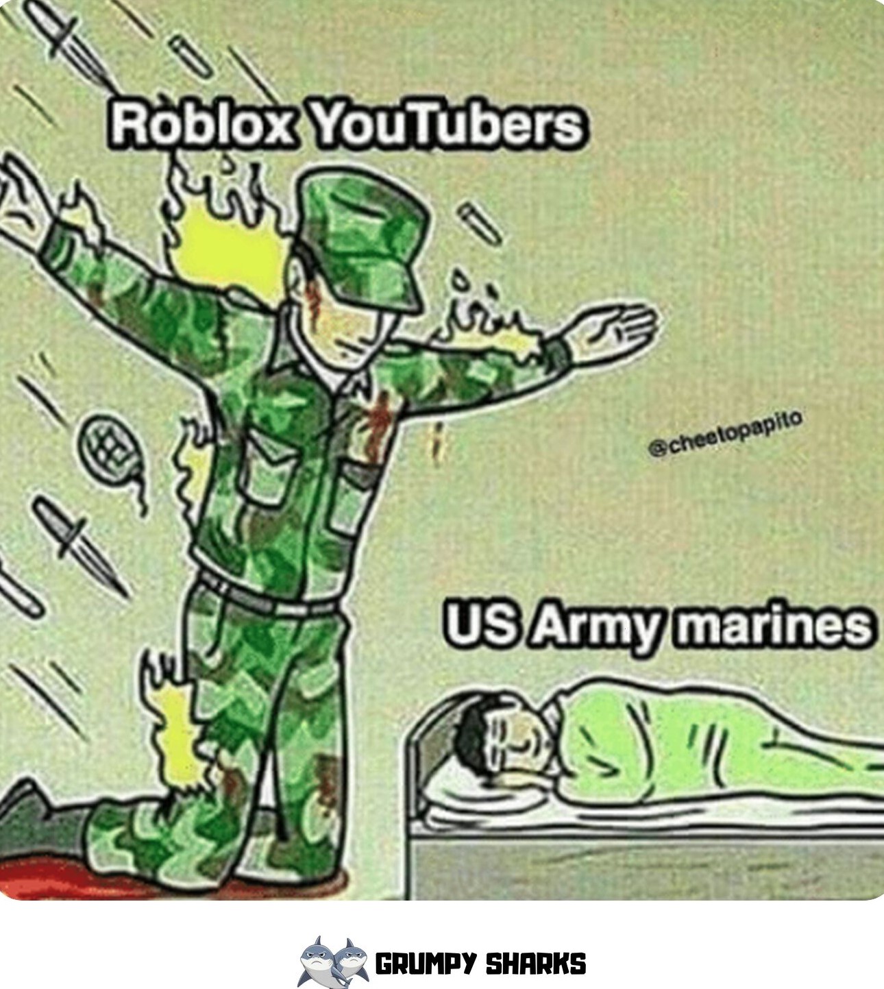 meme 685a7a372f6e2 24446