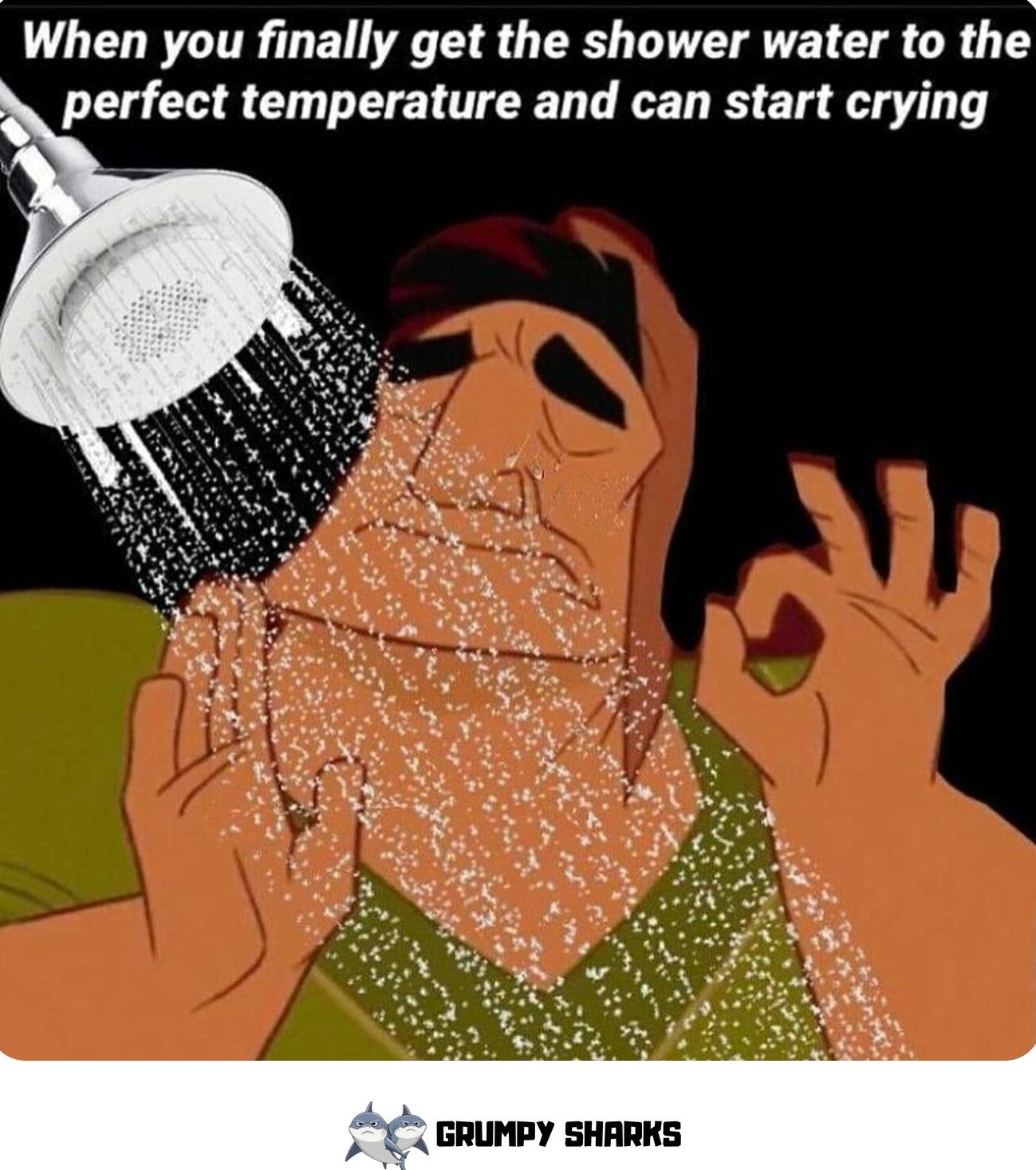 Pacha Meme