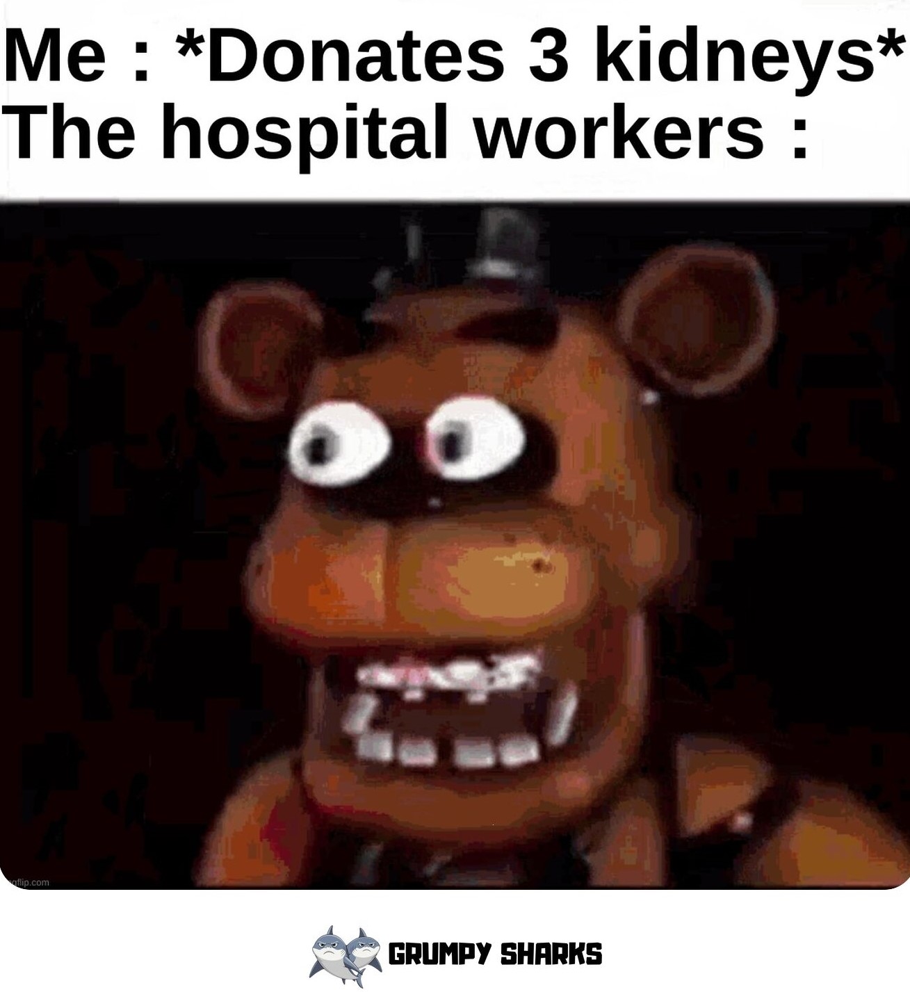 Freddy Fazbear Meme