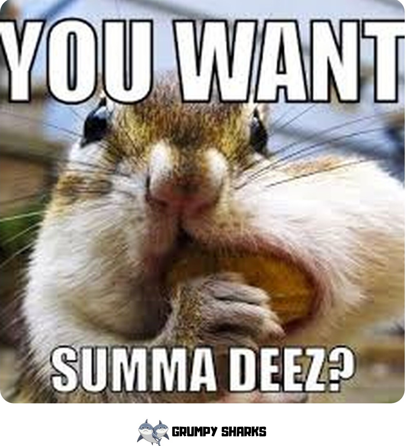 Deez Nuts Meme