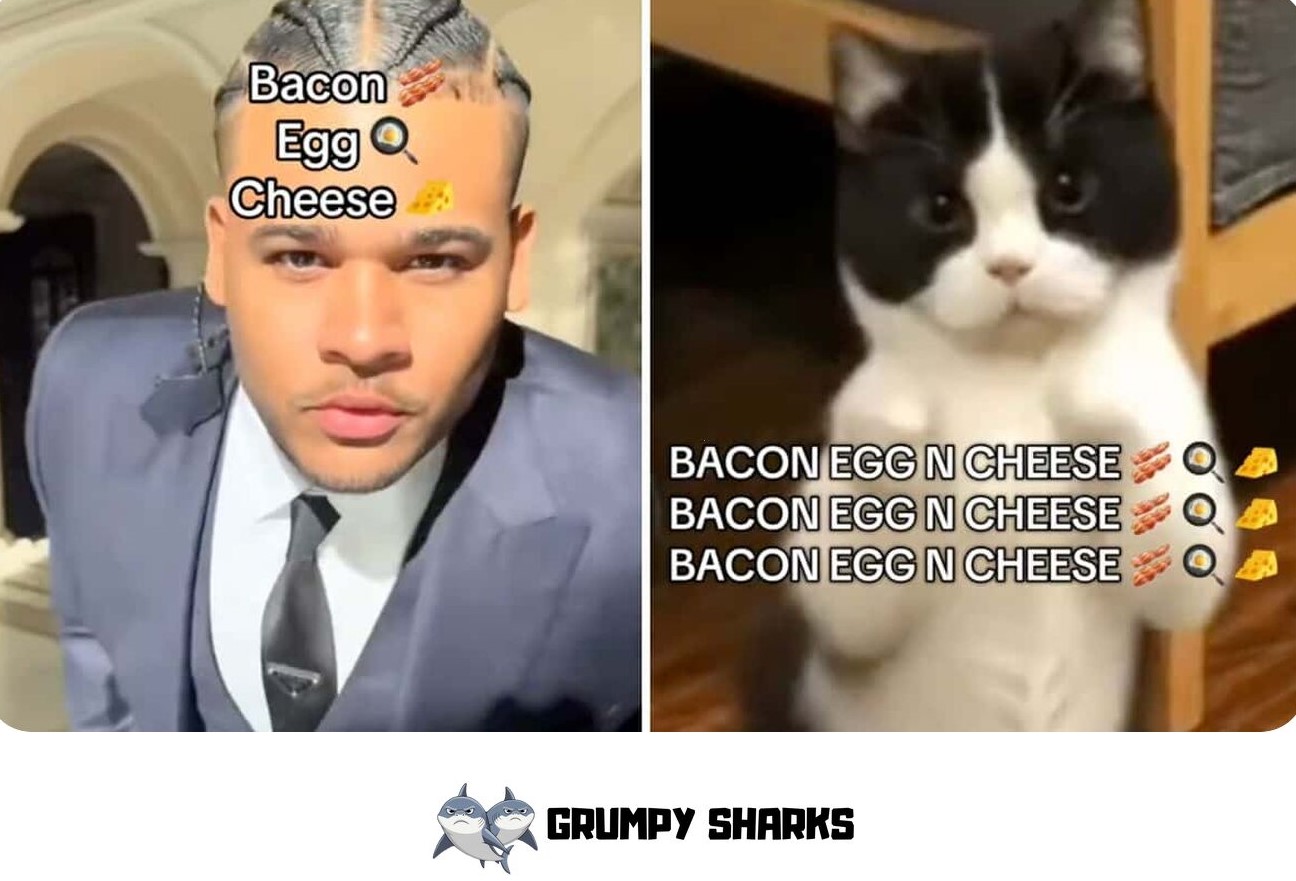 Bacon, Egg & Cheese Meme