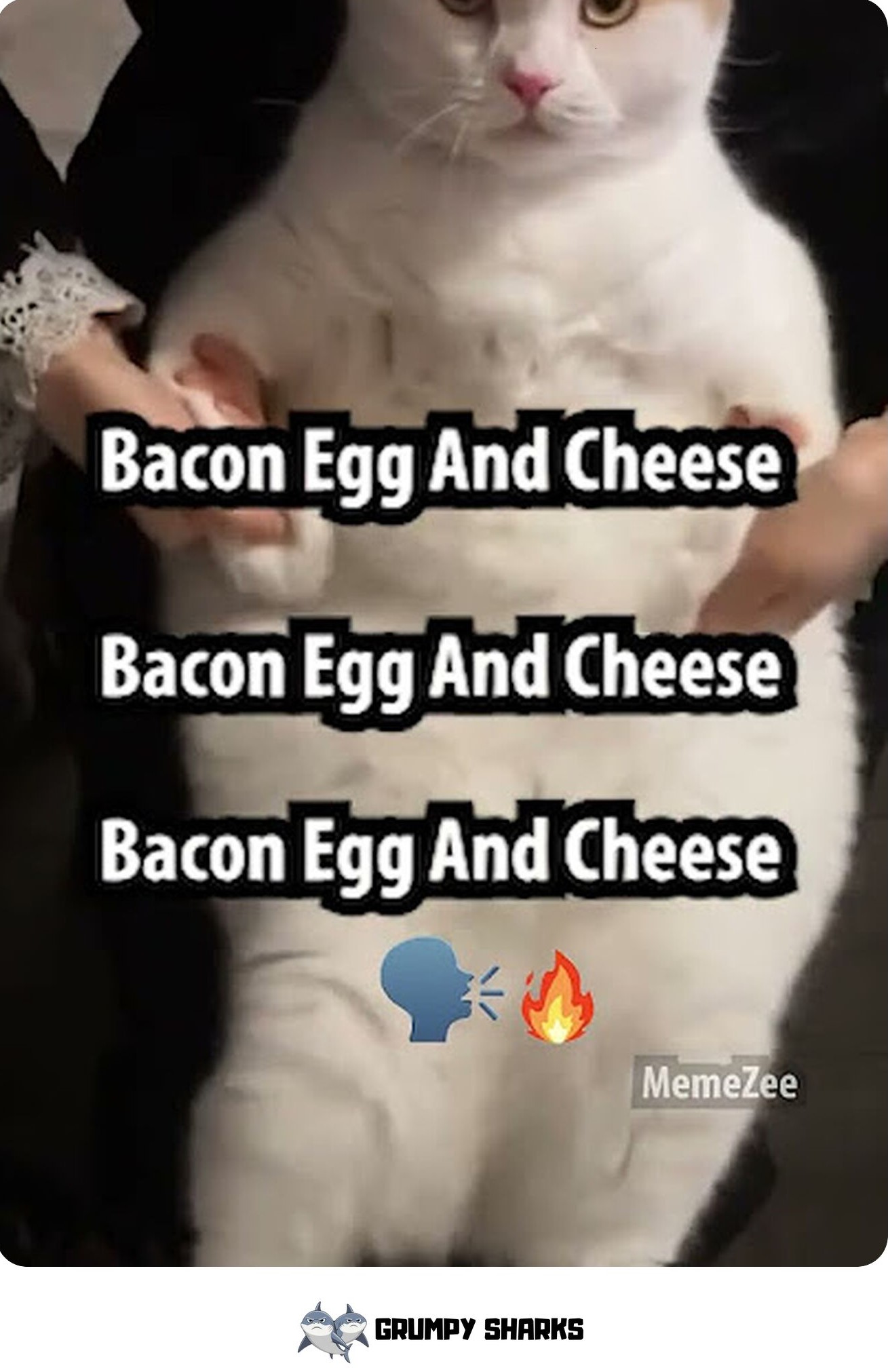 Bacon, Egg & Cheese Meme