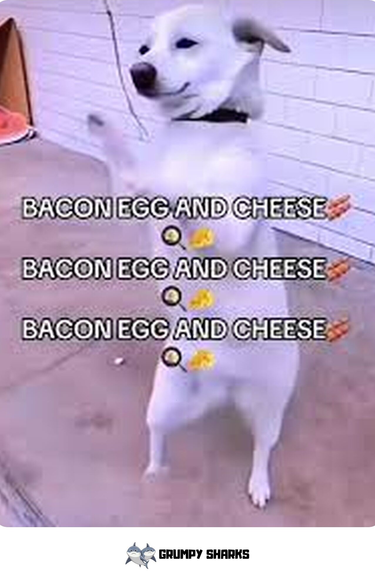 Bacon, Egg & Cheese Meme
