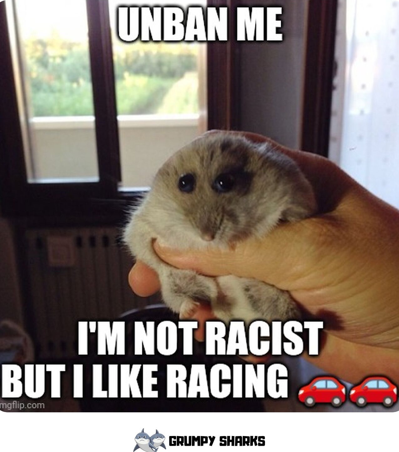Hamster Meme