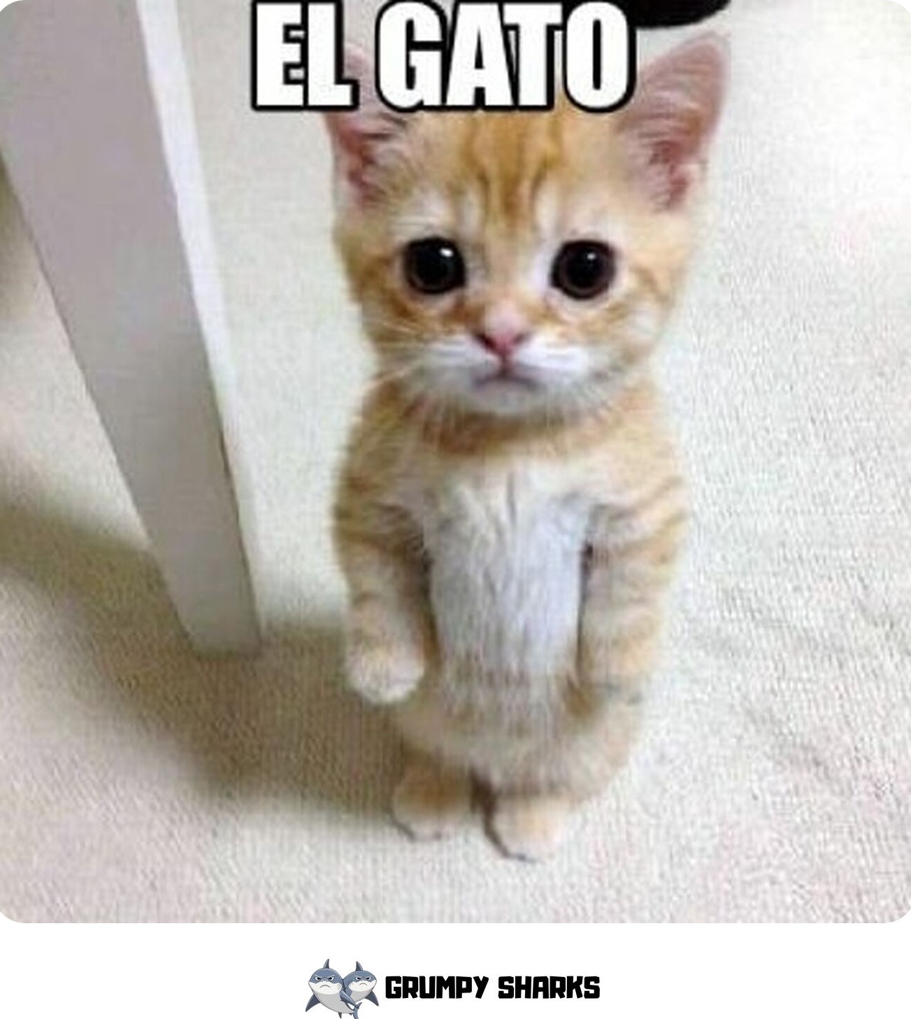 El Gato Meme 