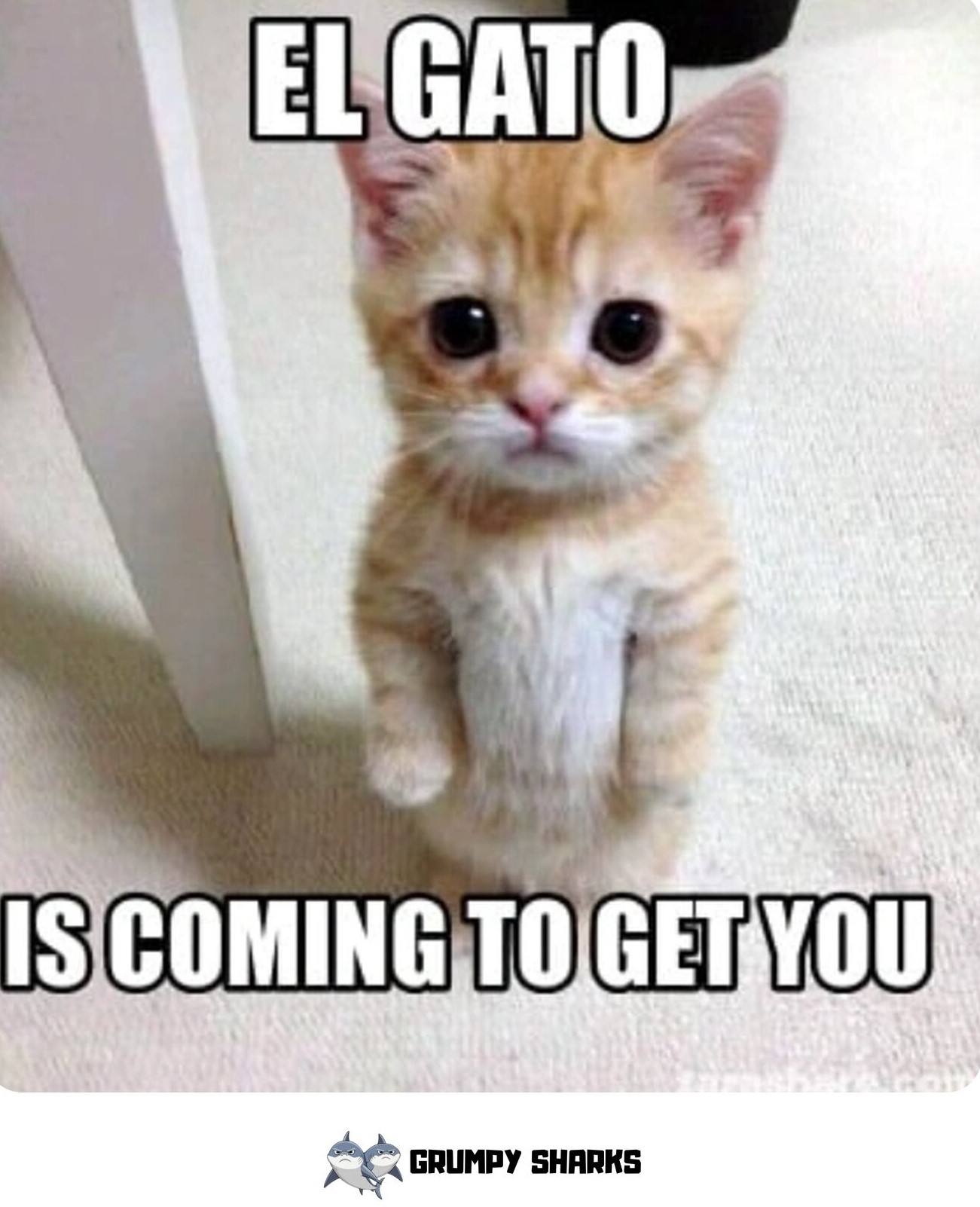 El Gato Meme 