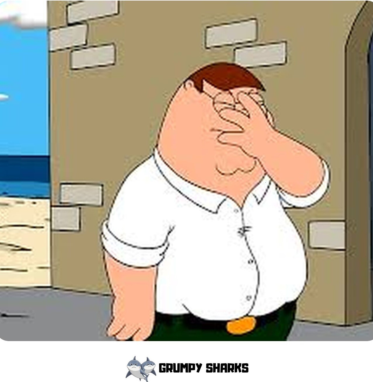 meme 685e0489cf120 80079