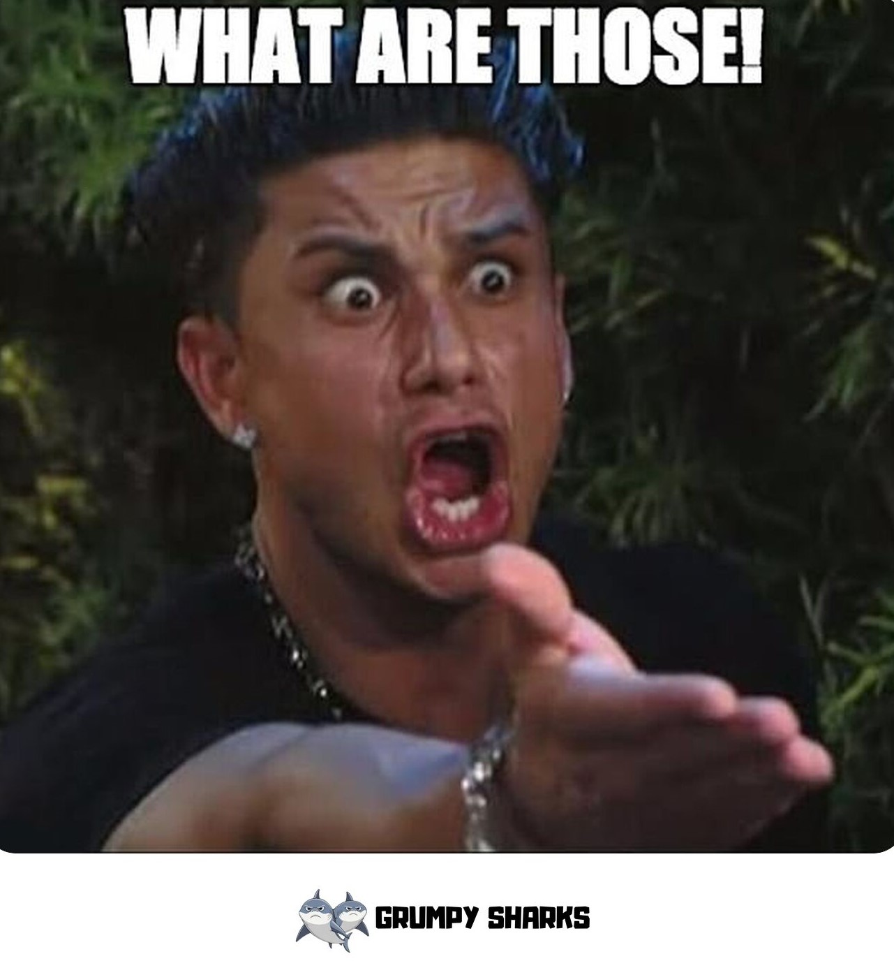 What Are Those Meme