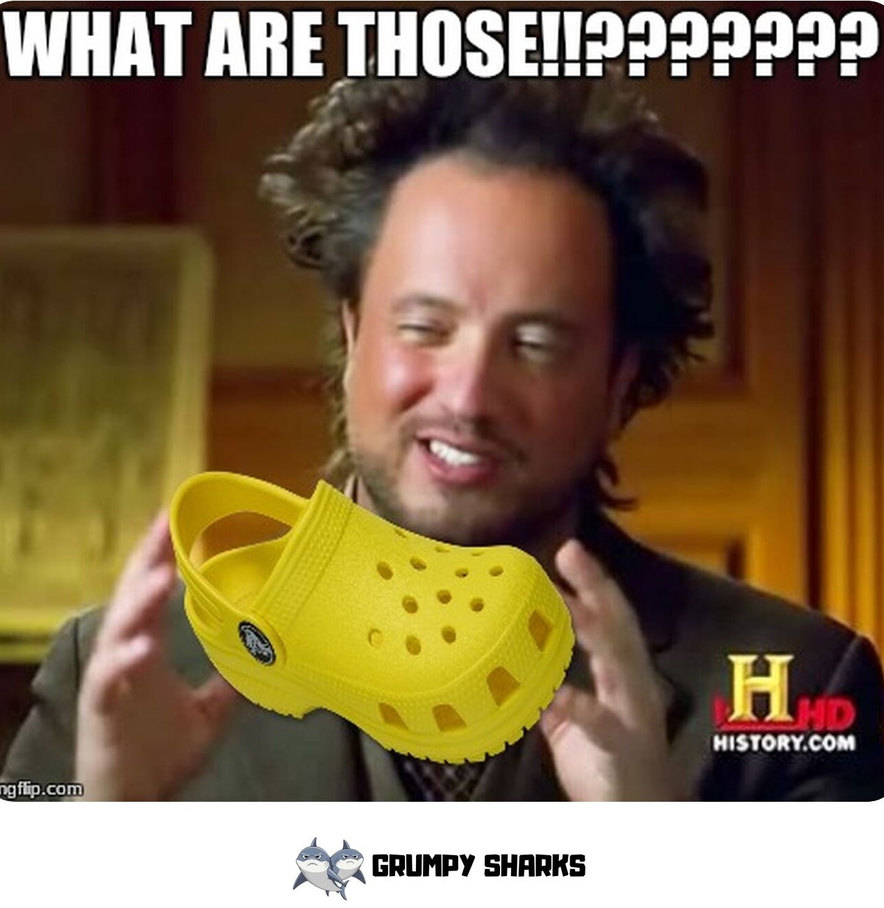 What Are Those Meme
