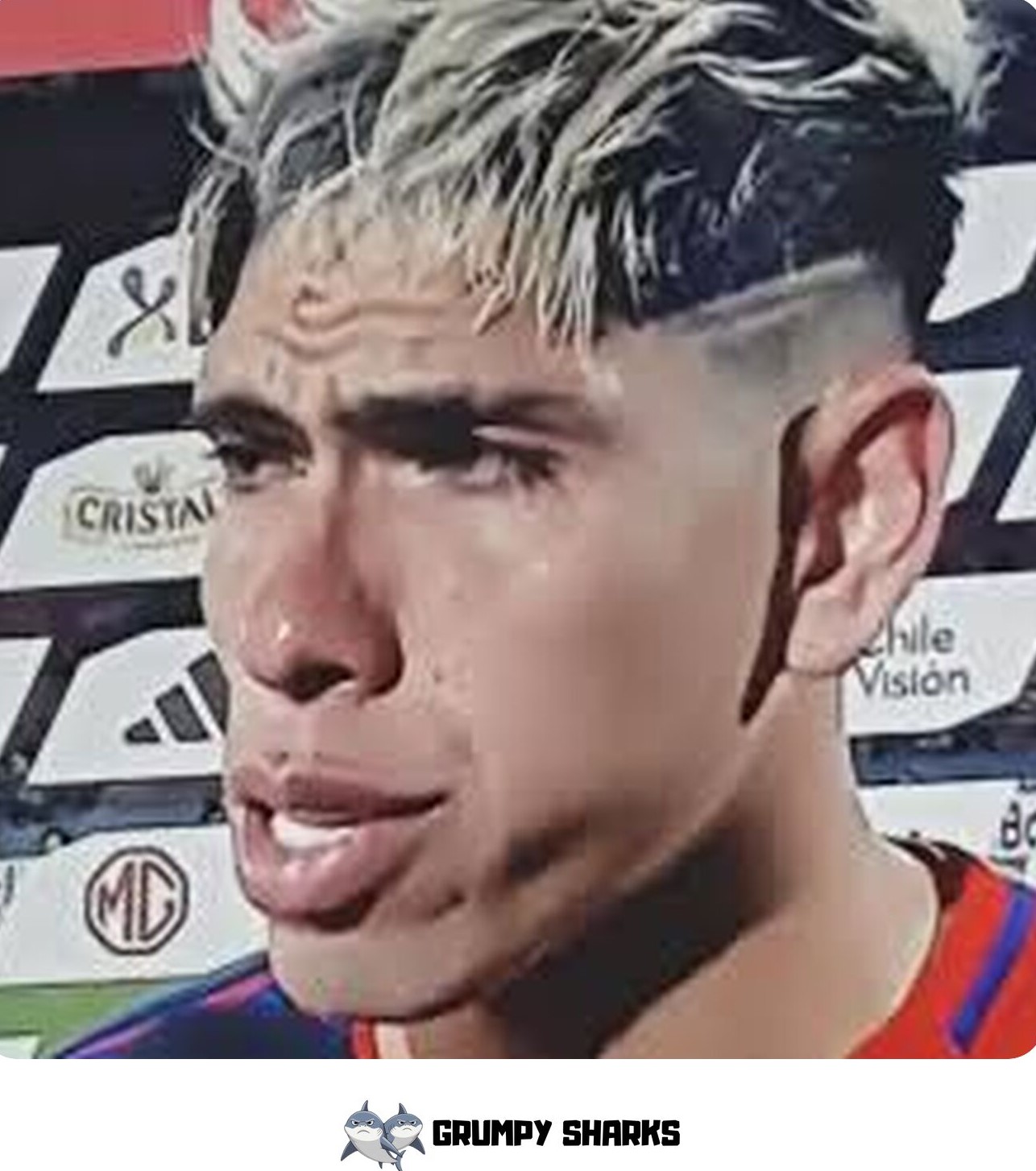 Te Pusiste Nerviosa Meme