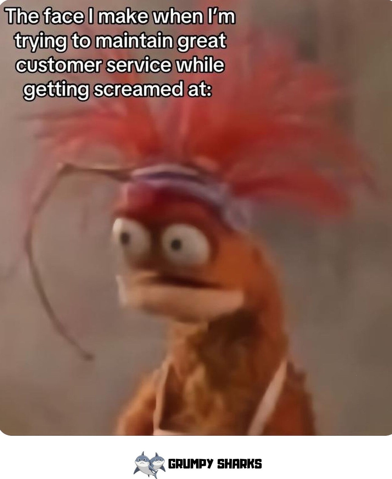meme 685e6cab30a3b 44959
