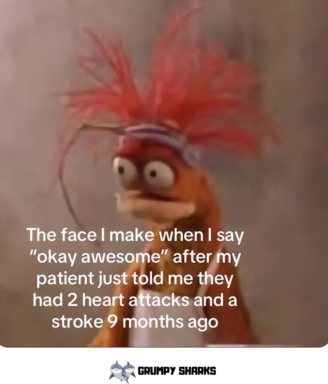Pepe the King Prawn Meme