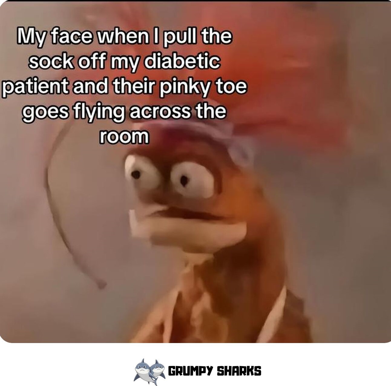 Pepe the King Prawn Meme
