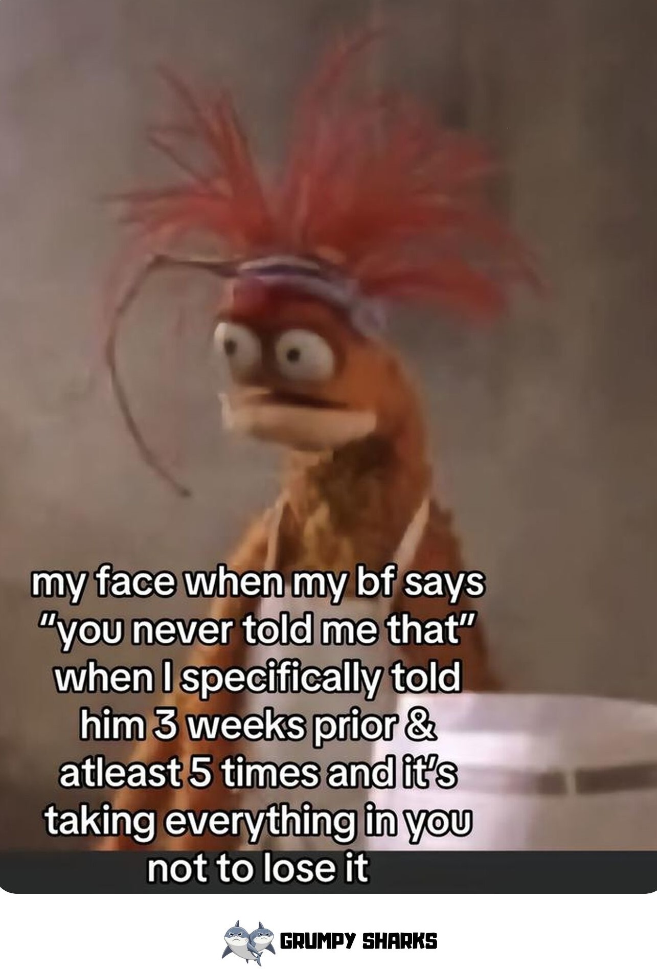 Pepe the King Prawn Meme