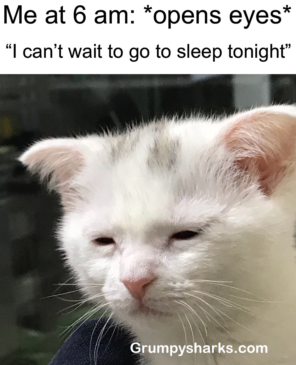 Tired Meme