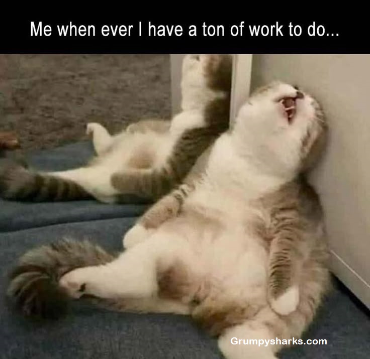 Tired Meme
