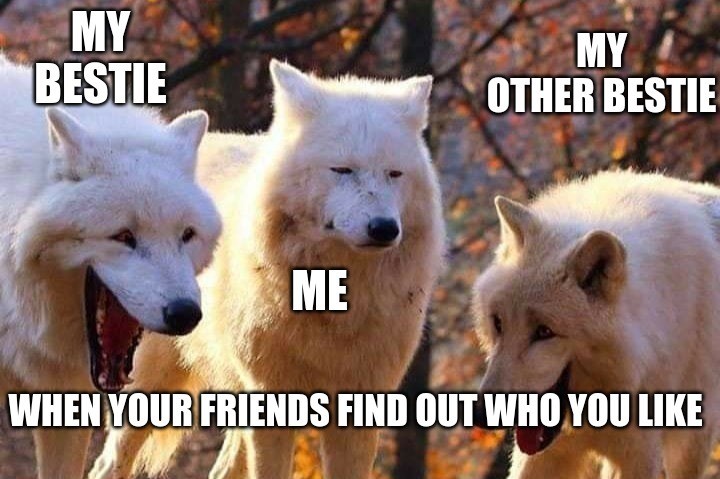 Wolf Meme