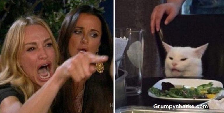 Why the White Cat Meme Went Viral: The Story Behind Smudge and the Screaming Woman Format