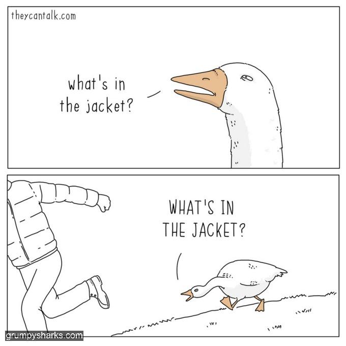 30527 1