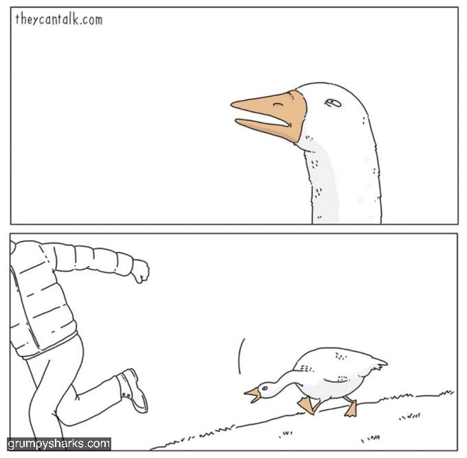 goose
