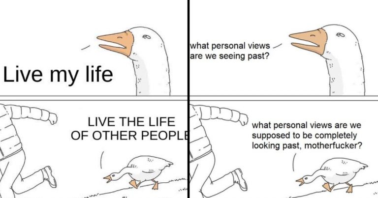 The Story Behind The “Goose Chasing Guy” Meme: How A Man And A Bird Sparked Internet Hilarity