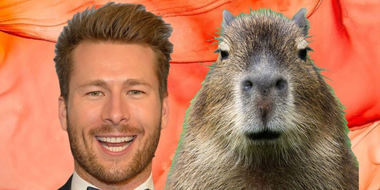 The Story Behind The Glen Powell Capybara Meme: How A Hollywood Star Got Compared To The Chillest Animal Alive