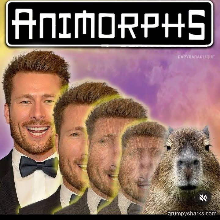 30593 2