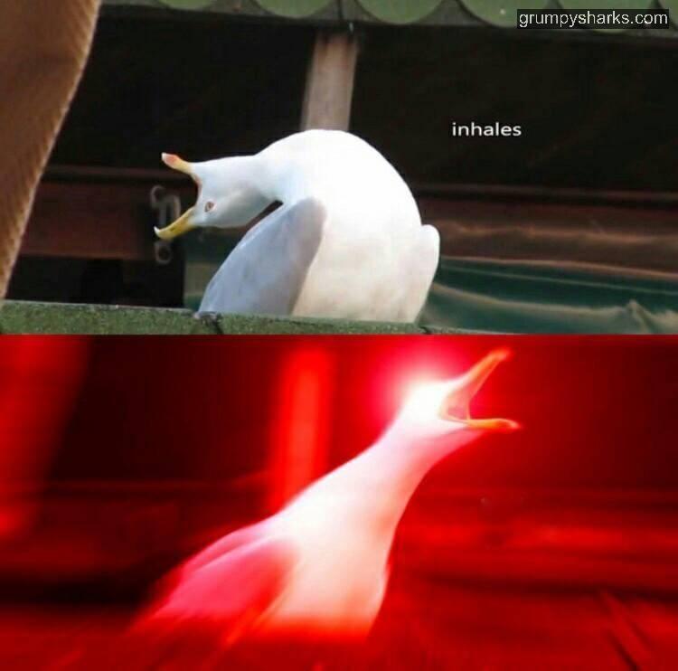 seagull 