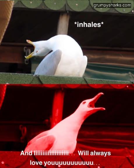 30823 2