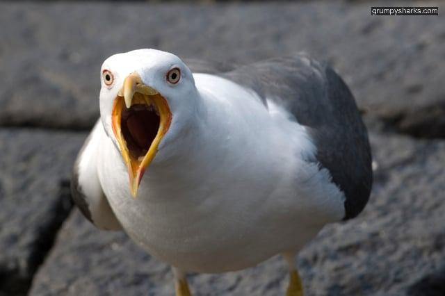 30823 4