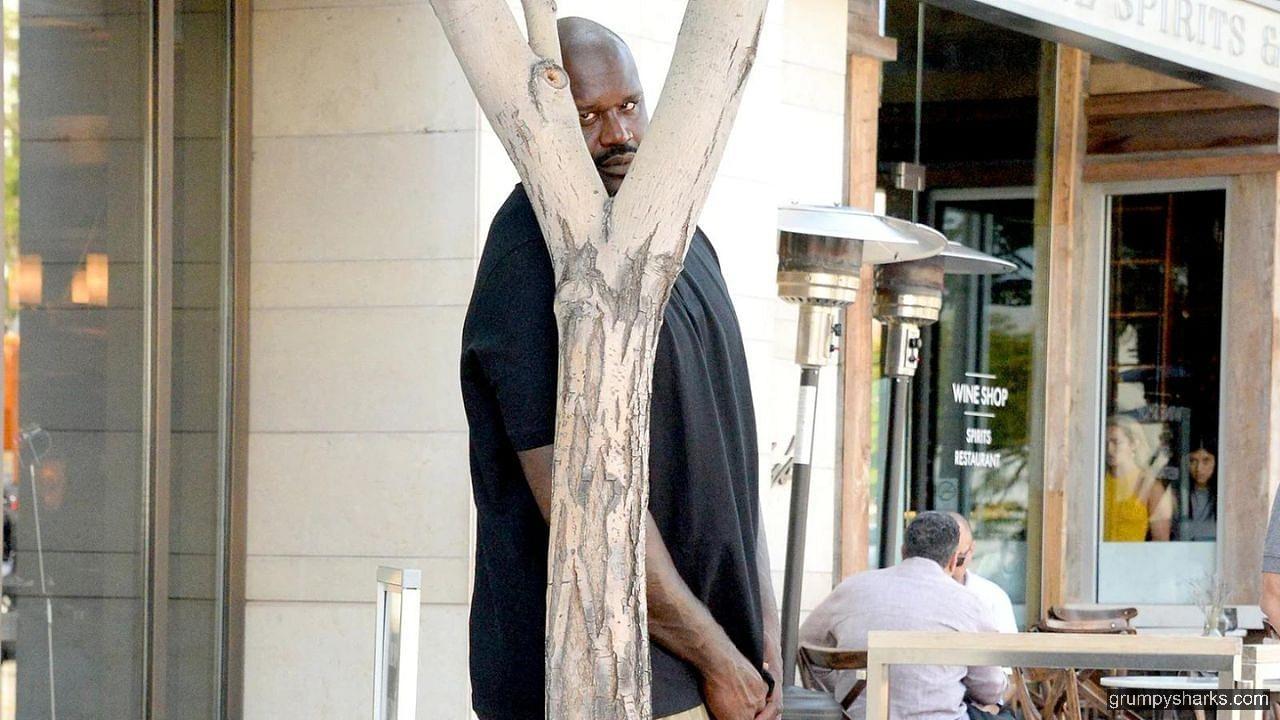 hiding