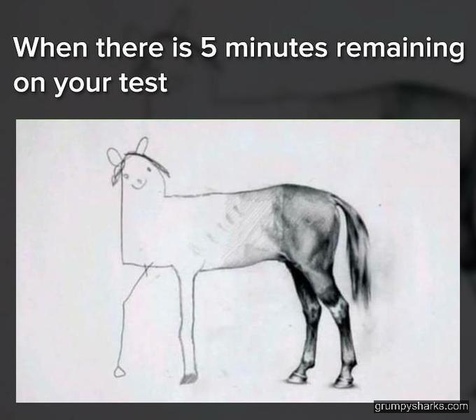 31269 2