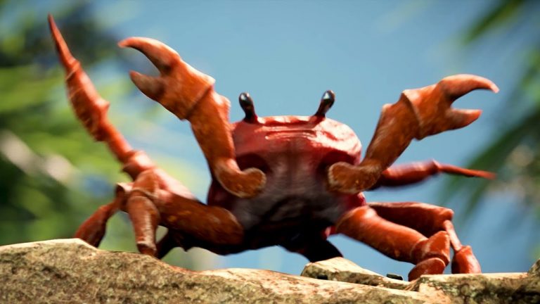 Crab Rave Meme Explained: How Dancing Crabs Took Over the Internet