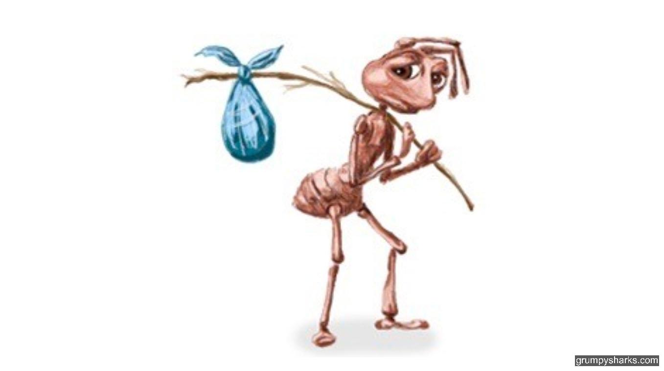 ant